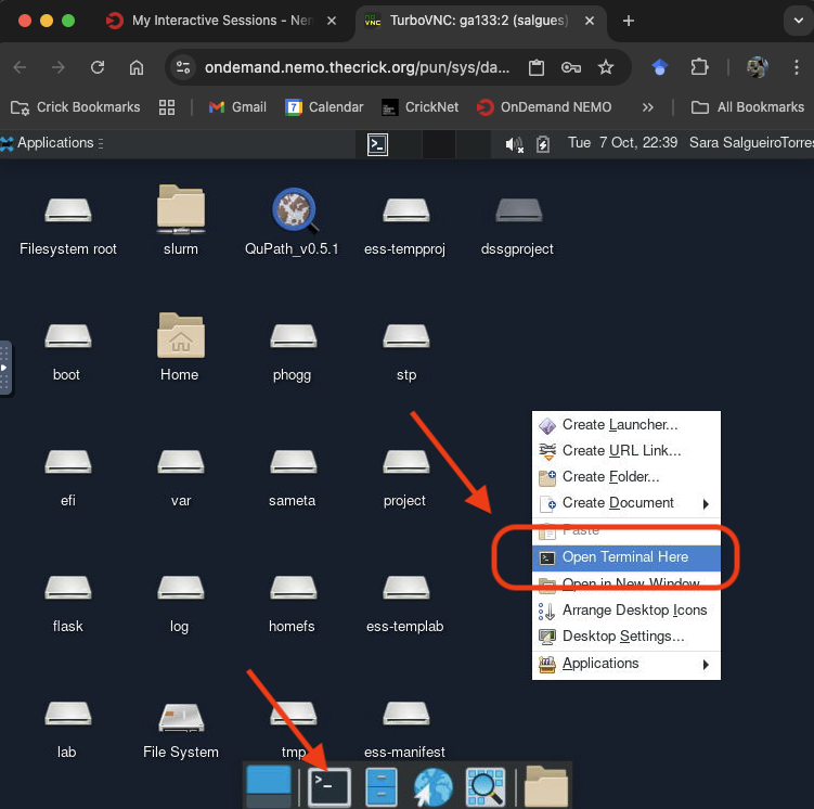 Open Terminal Screenshot