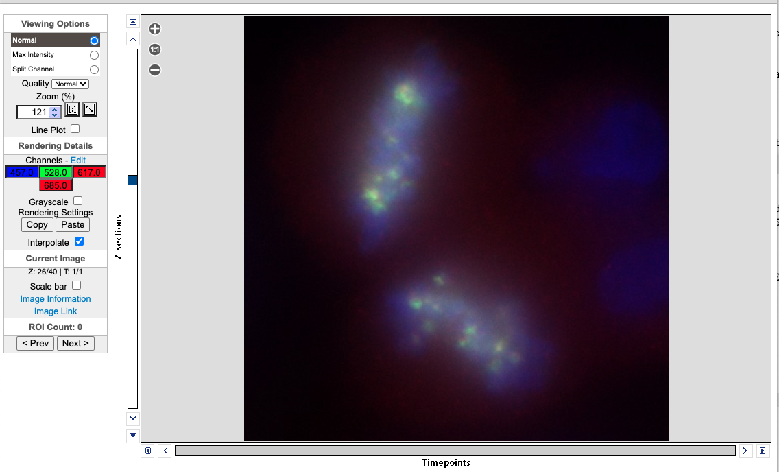 ../../_images/imageviewer.png