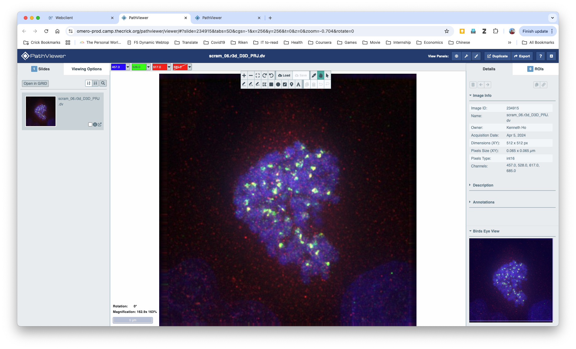 pathviewer