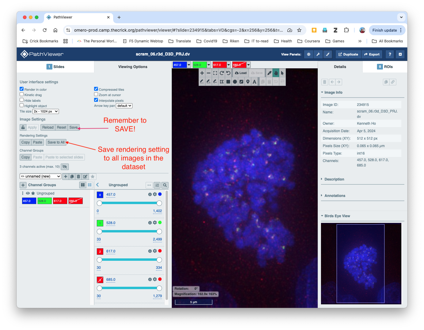 pathviewer_save