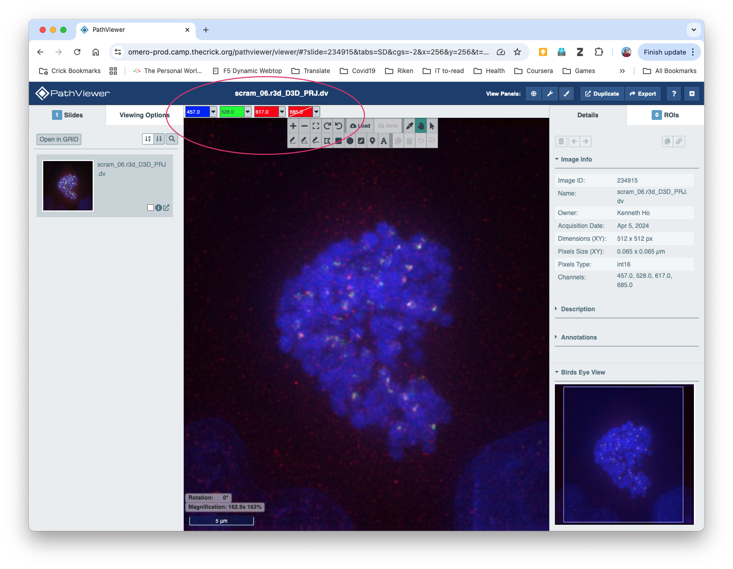 pathviewer_view1
