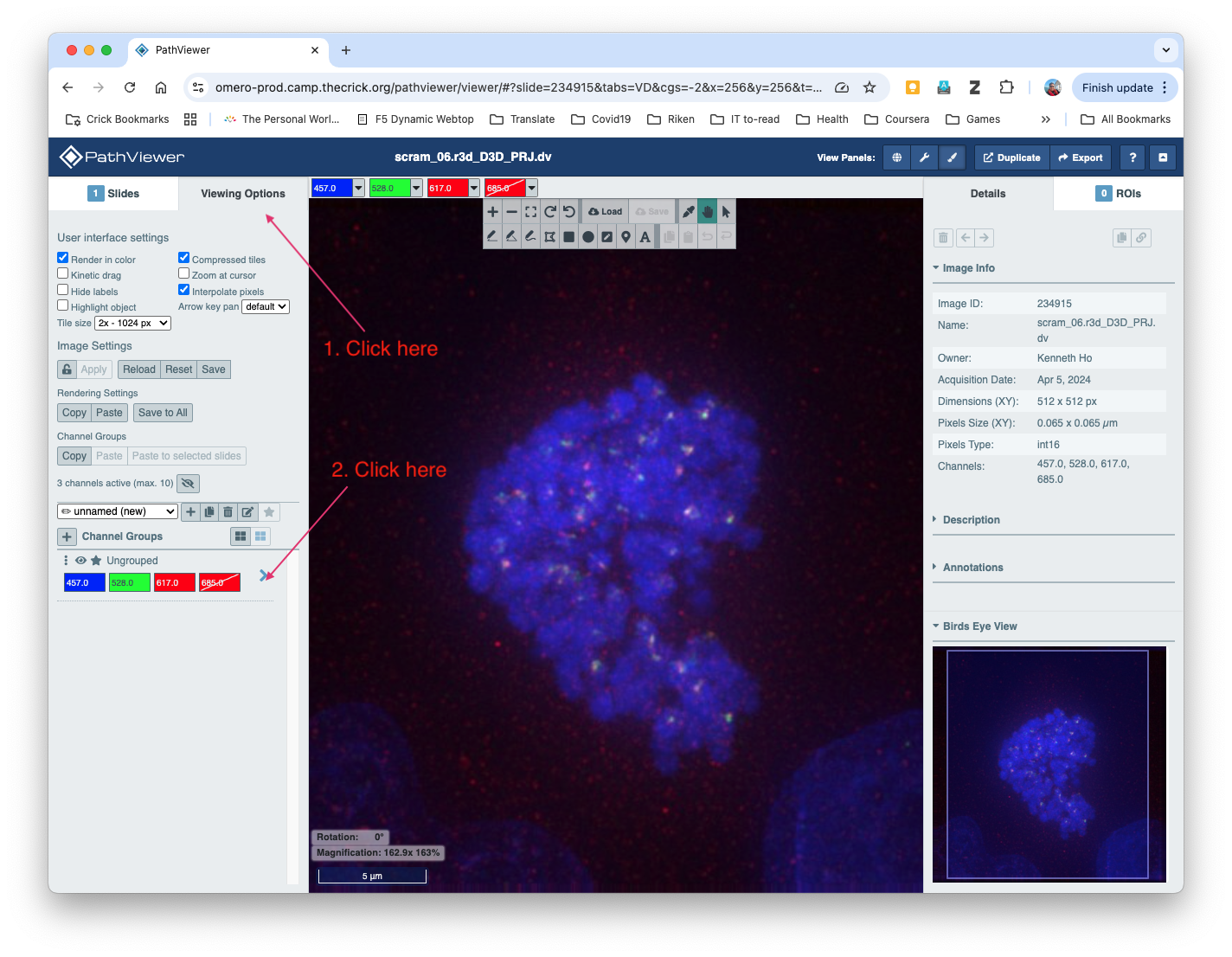 pathviewer_view2