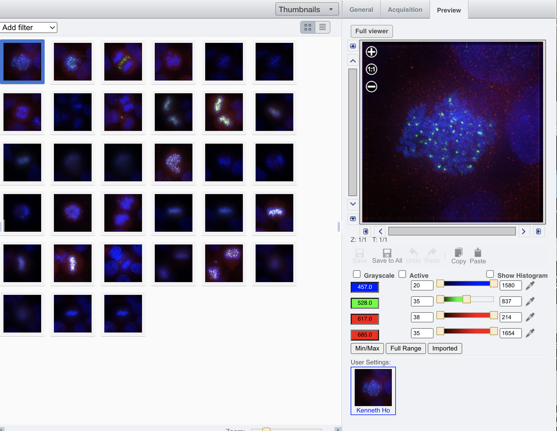 preview_rendering