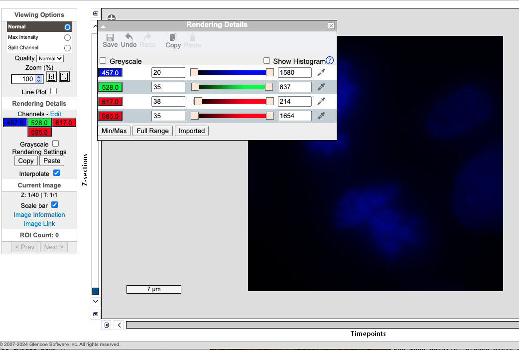 renderingdetails