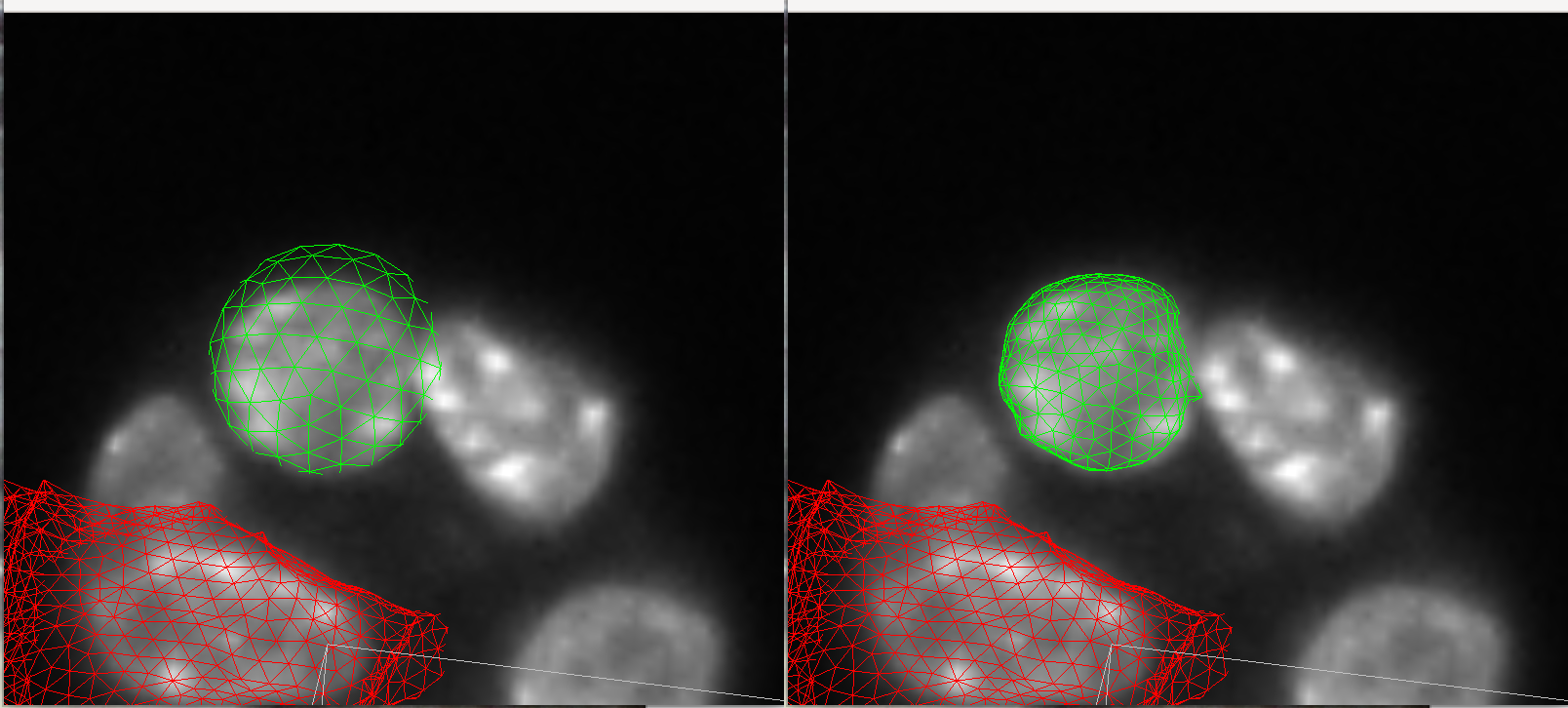 before and after nuclei deformations