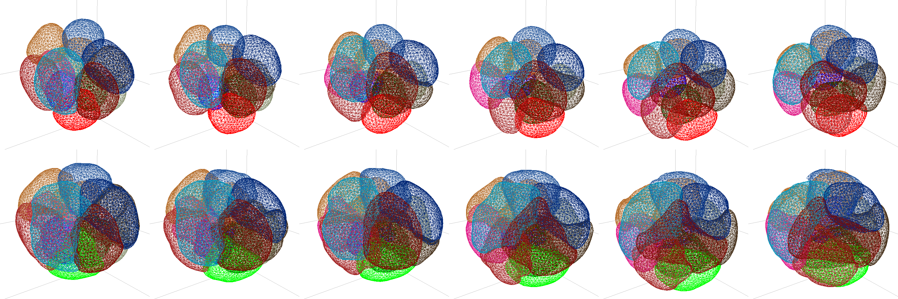 montage of nuclei and membrane meshes