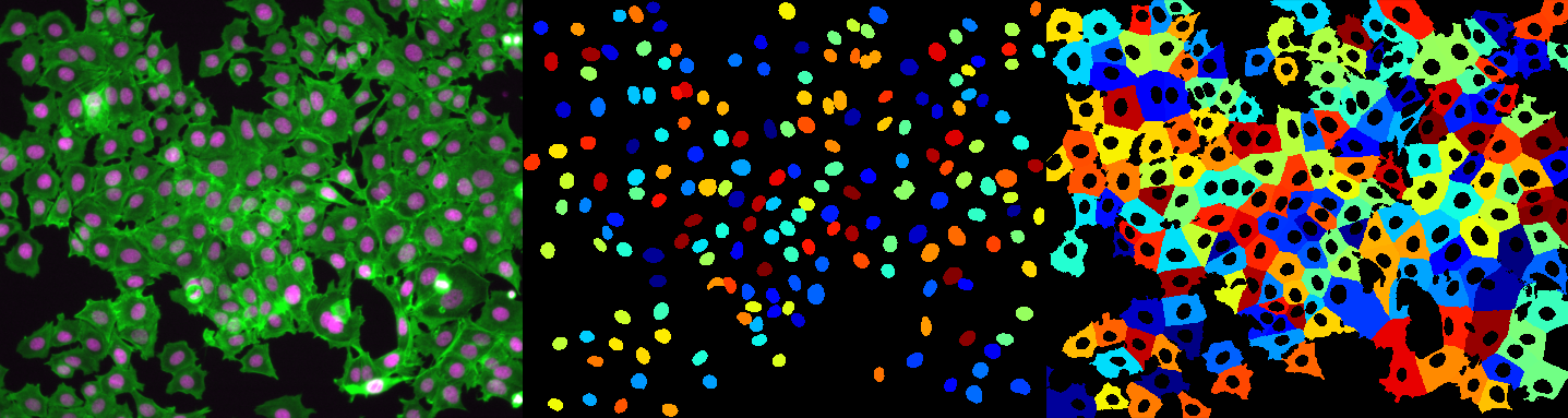 CellProfiler Visualisation